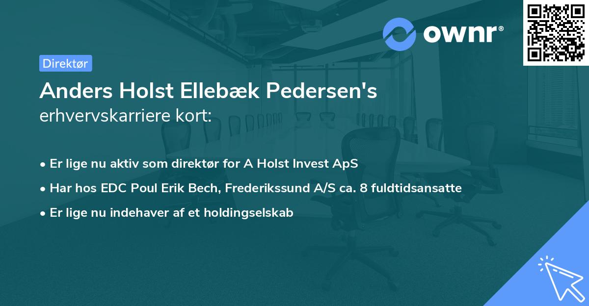 Anders Holst Ellebæk Pedersen's erhvervskarriere kort