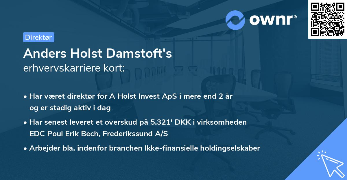Anders Holst Damstoft's erhvervskarriere kort