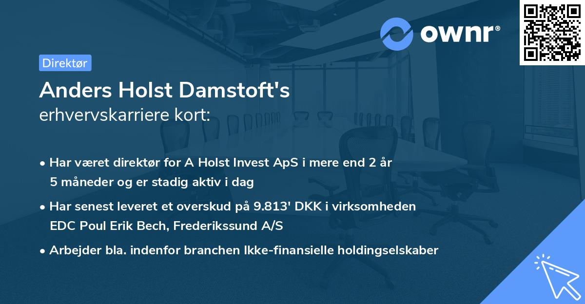 Anders Holst Damstoft's erhvervskarriere kort