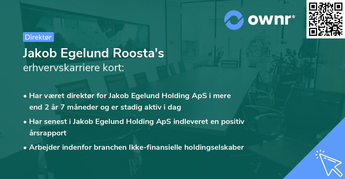 Jakob Egelund Roosta's erhvervskarriere kort