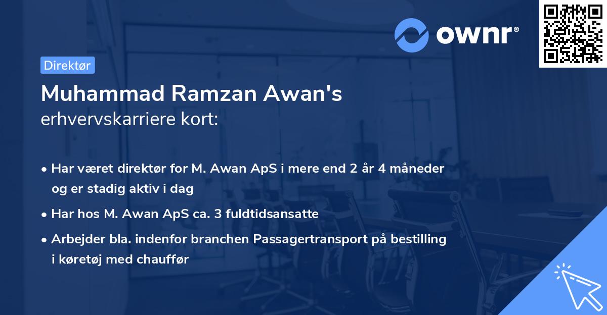 Muhammad Ramzan Awan's erhvervskarriere kort
