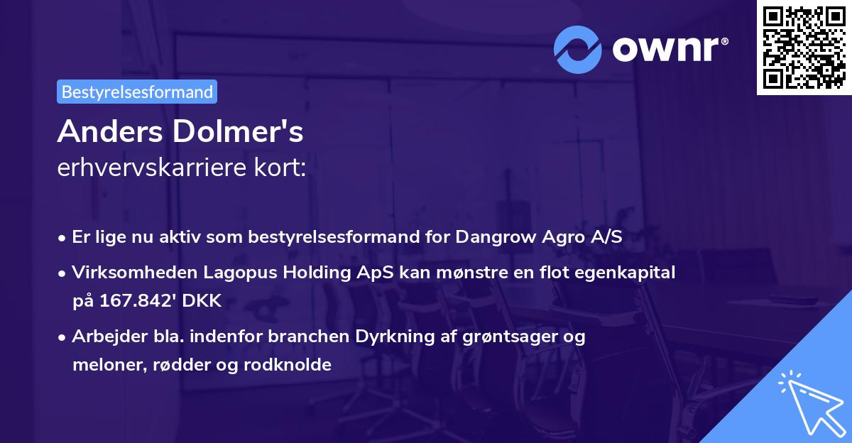 Anders Dolmer's erhvervskarriere kort