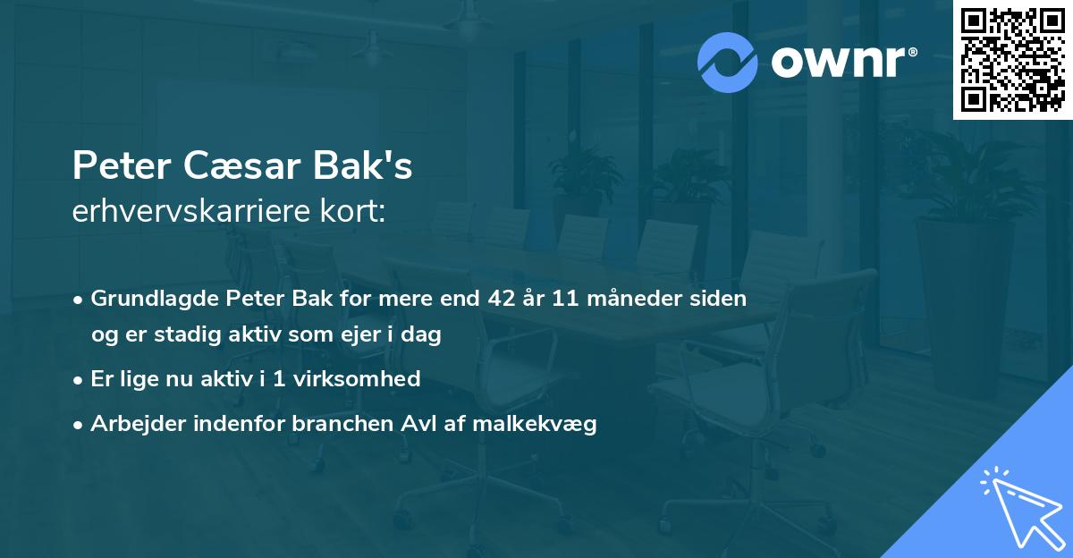 Peter Cæsar Bak's erhvervskarriere kort