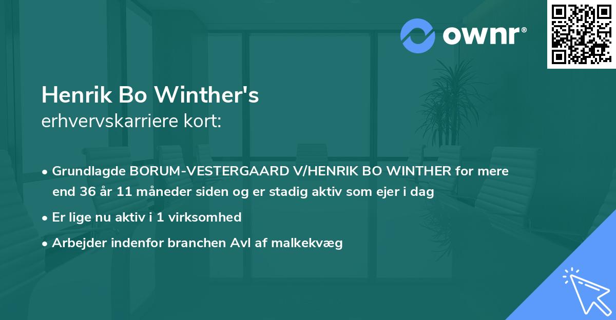 Henrik Bo Winther's erhvervskarriere kort