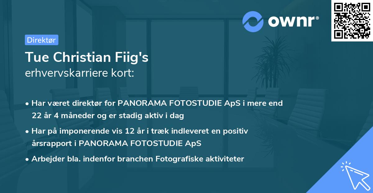 Tue Christian Fiig's erhvervskarriere kort