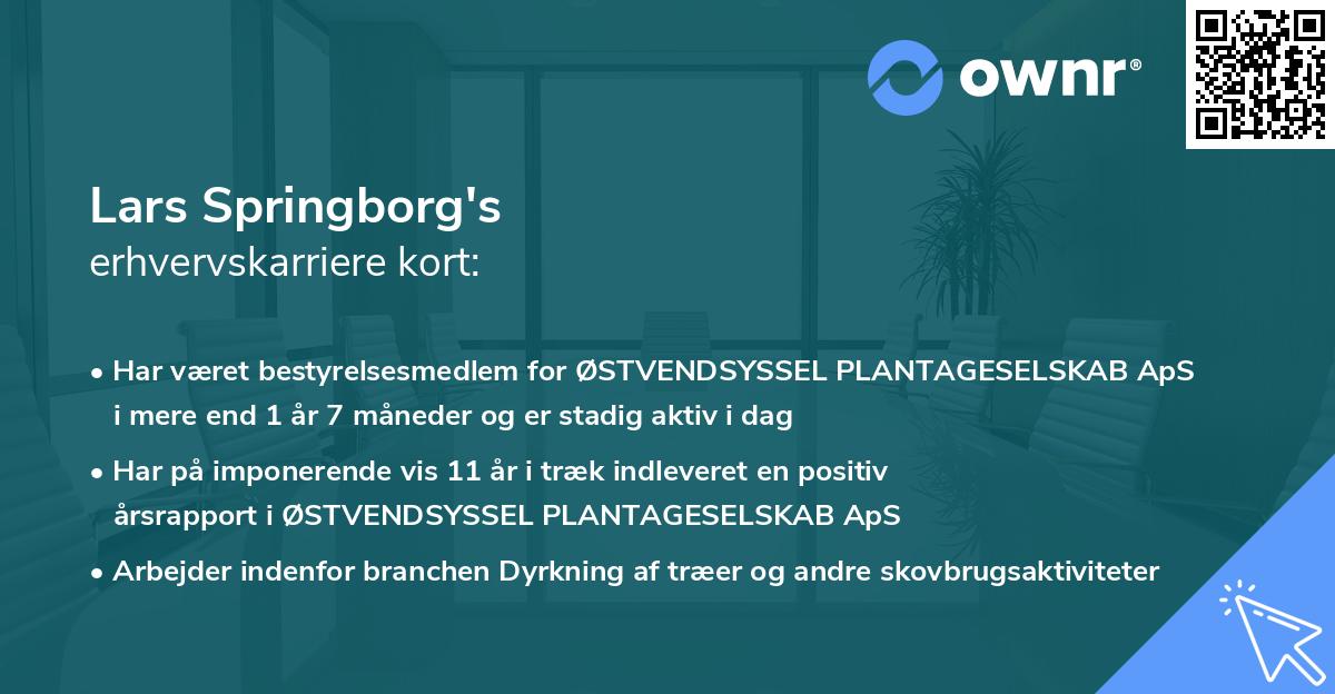 Lars Springborg's erhvervskarriere kort