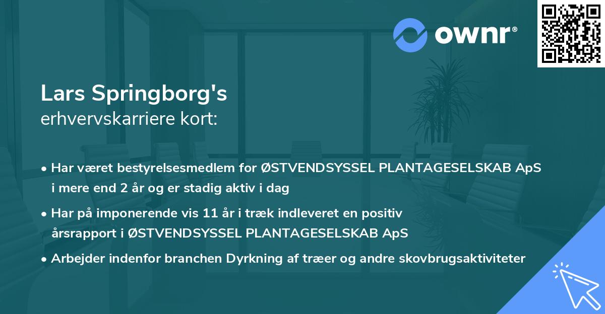 Lars Springborg's erhvervskarriere kort
