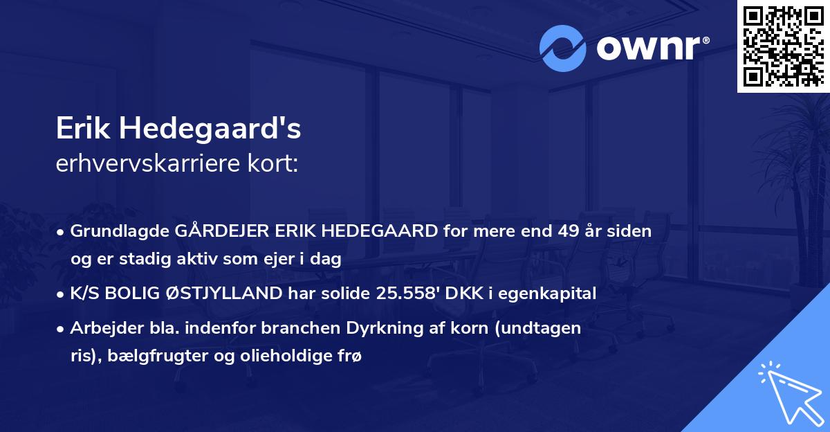 Erik Hedegaard's erhvervskarriere kort