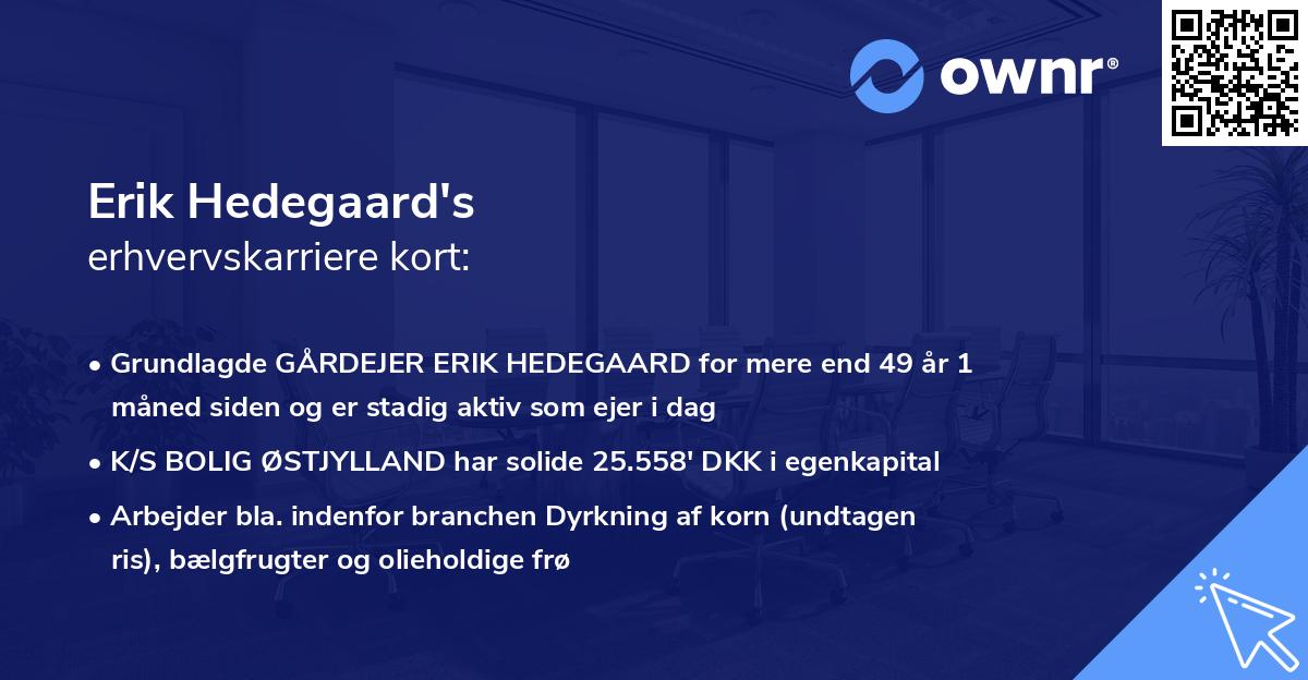 Erik Hedegaard's erhvervskarriere kort