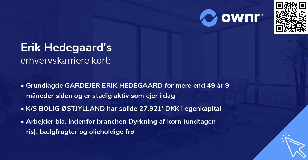 Erik Hedegaard's erhvervskarriere kort