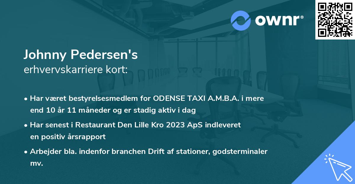 Johnny Pedersen's erhvervskarriere kort