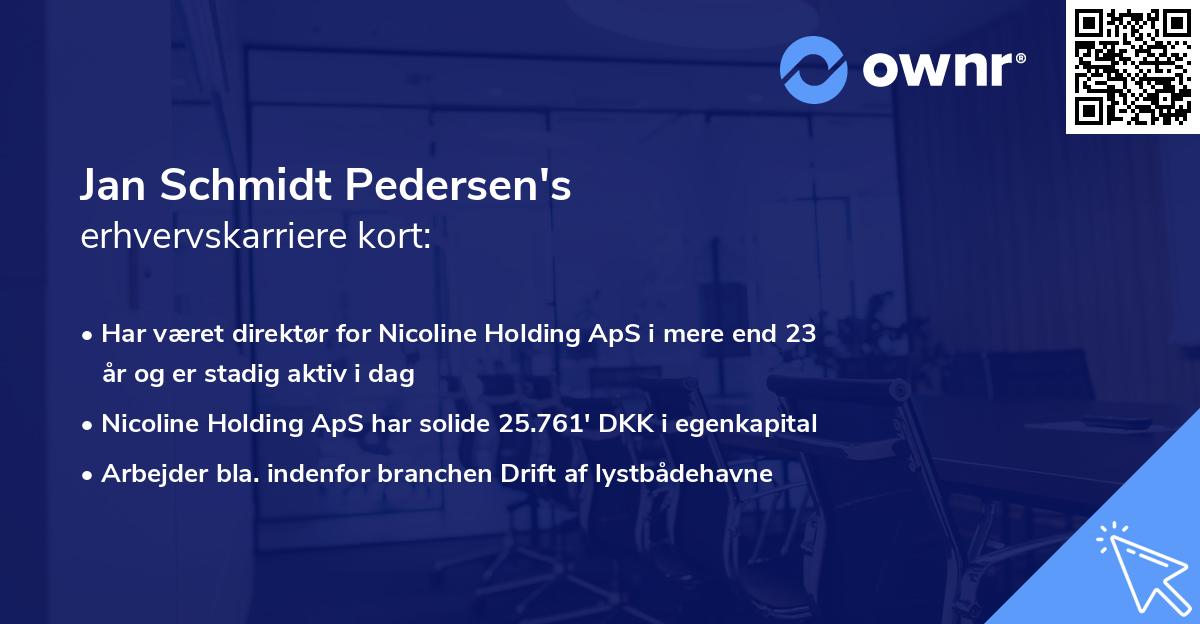 Jan Schmidt Pedersen's erhvervskarriere kort