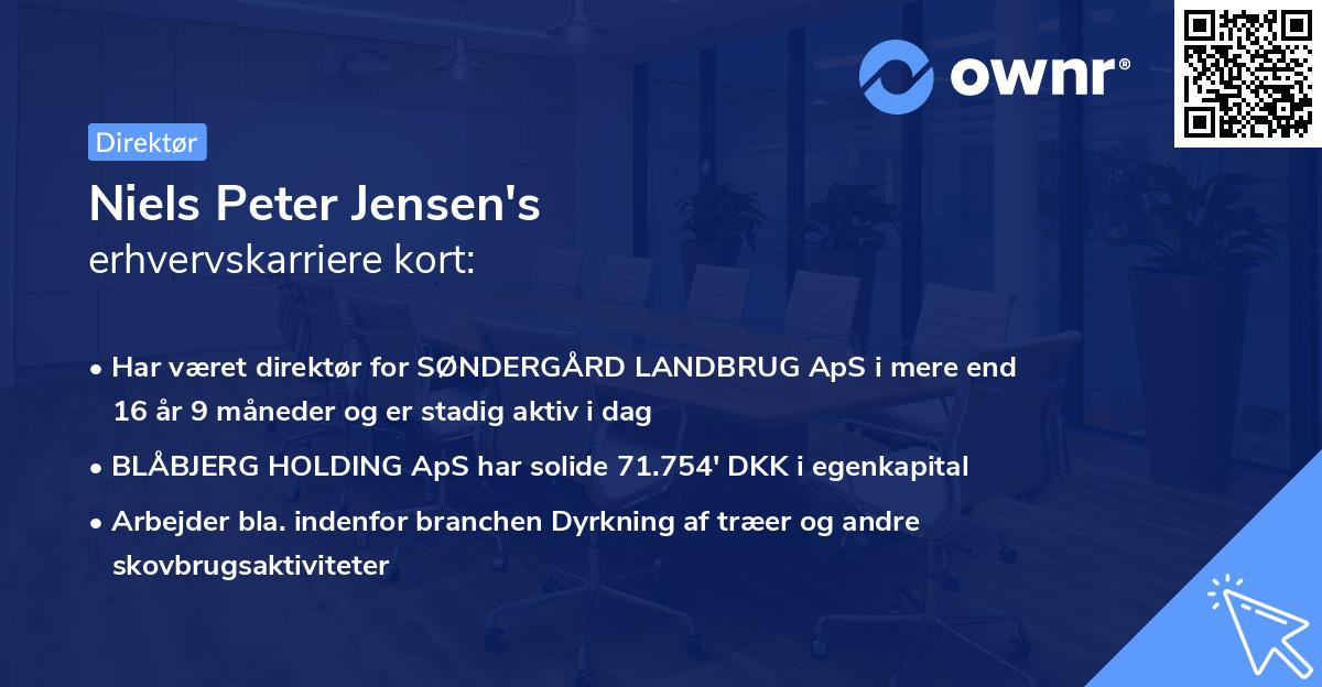 Niels Peter Jensen's erhvervskarriere kort