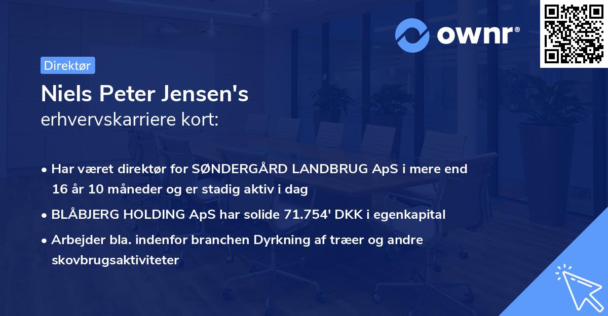 Niels Peter Jensen's erhvervskarriere kort