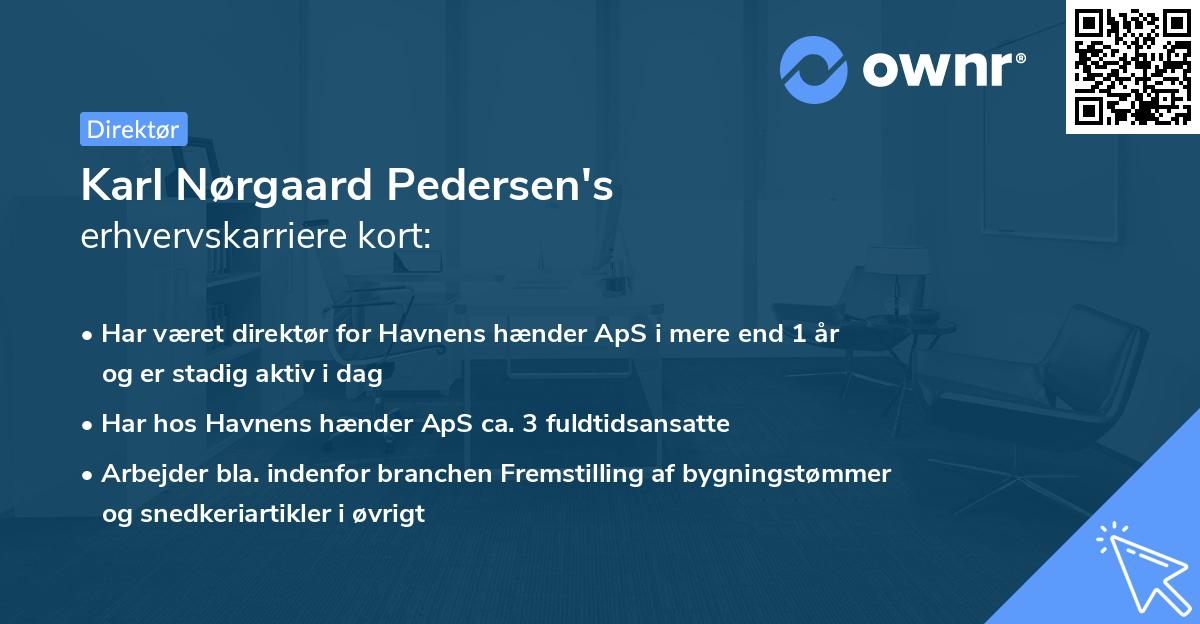 Karl Nørgaard Pedersen's erhvervskarriere kort