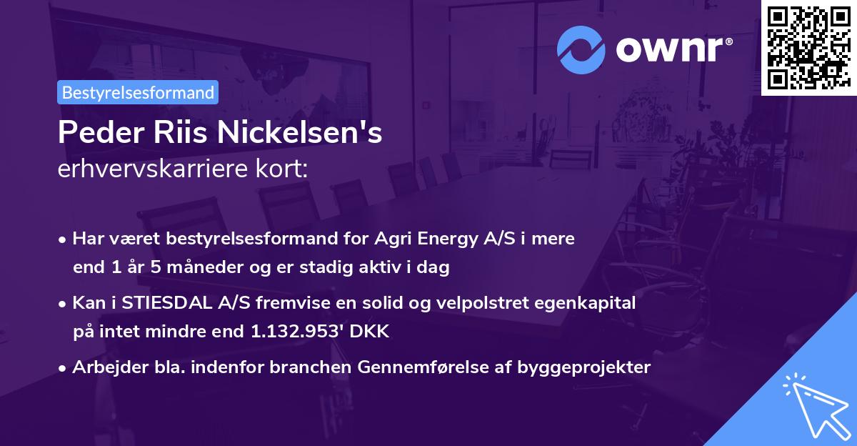 Peder Riis Nickelsen's erhvervskarriere kort