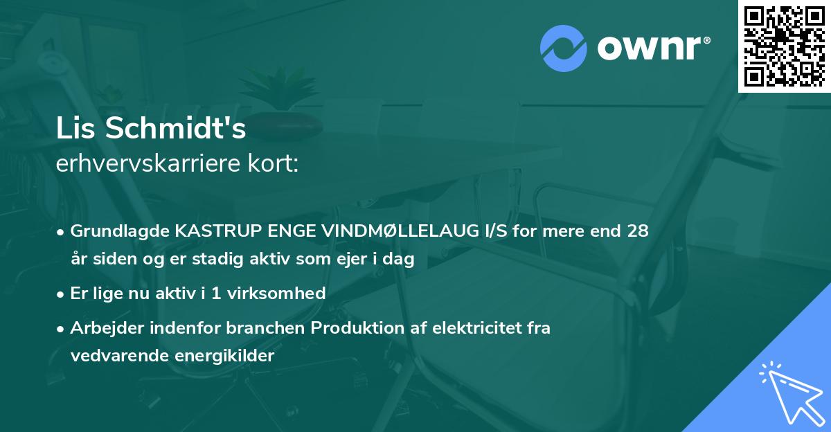 Lis Schmidt's erhvervskarriere kort