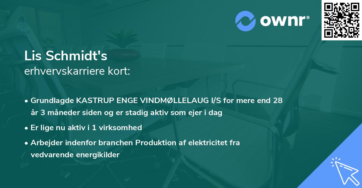 Lis Schmidt's erhvervskarriere kort