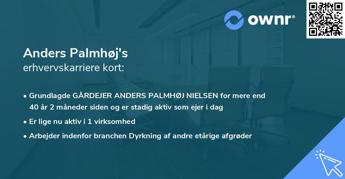 Anders Palmhøj's erhvervskarriere kort