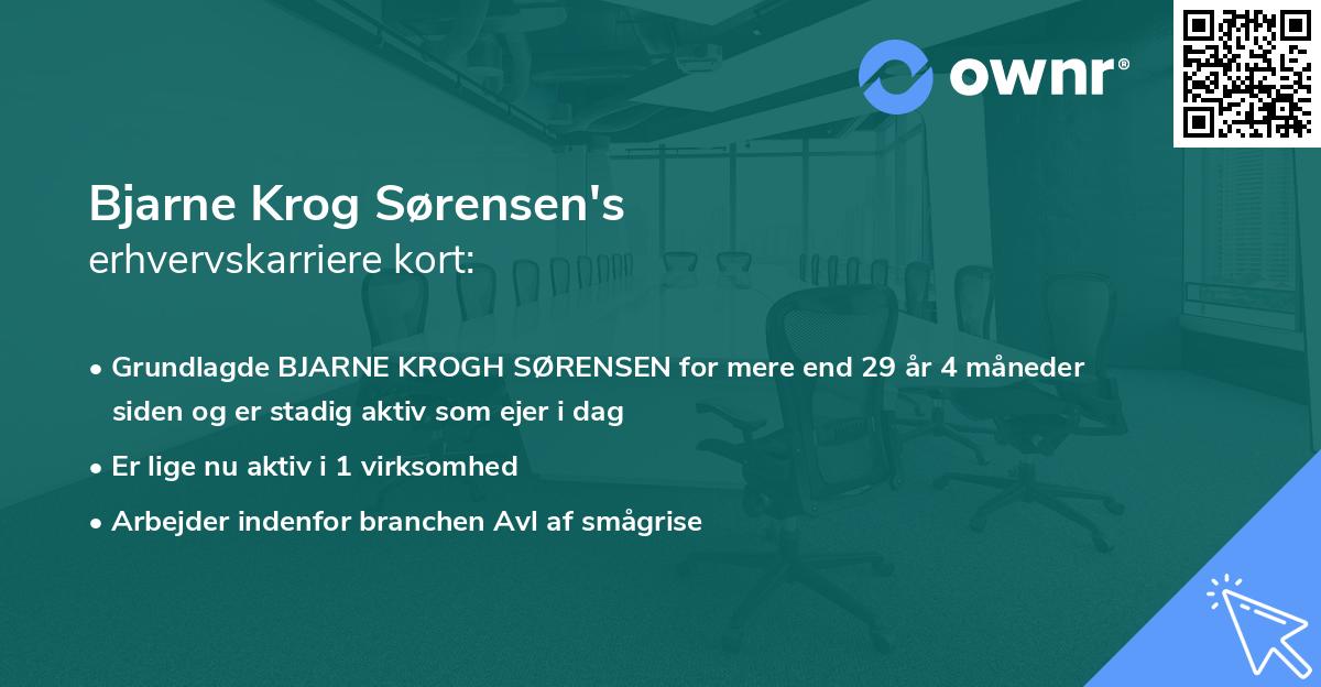 Bjarne Krog Sørensen's erhvervskarriere kort