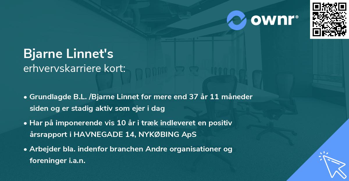 Bjarne Linnet's erhvervskarriere kort