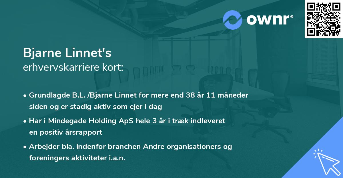 Bjarne Linnet's erhvervskarriere kort