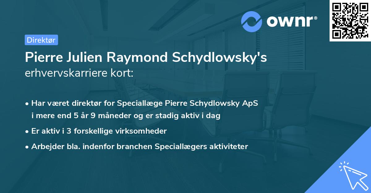 Pierre Julien Raymond Schydlowsky's erhvervskarriere kort