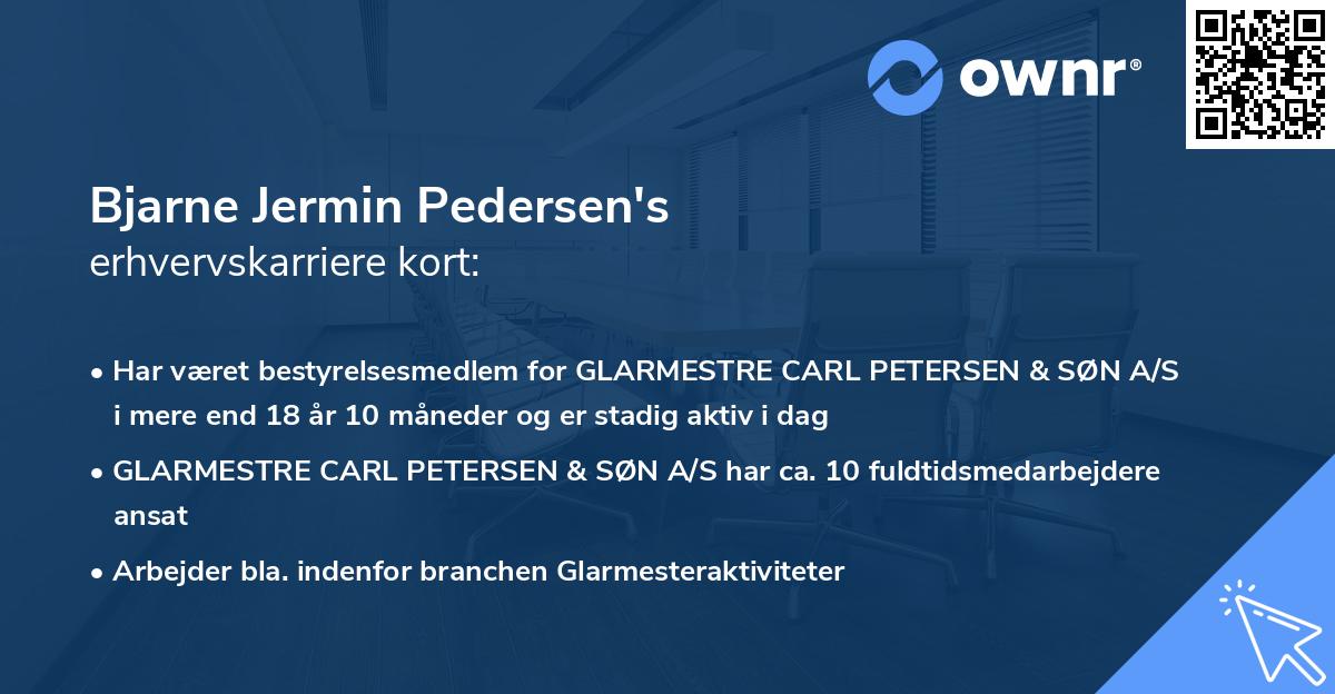 Bjarne Jermin Pedersen's erhvervskarriere kort