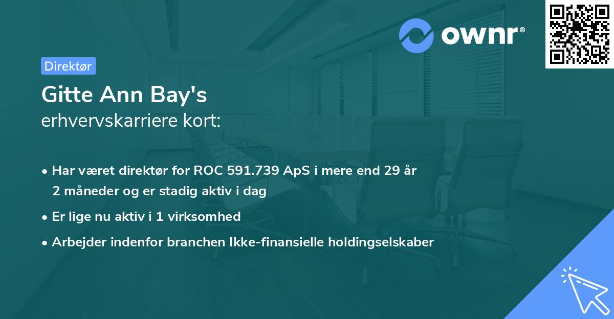 Gitte Ann Bay's erhvervskarriere kort