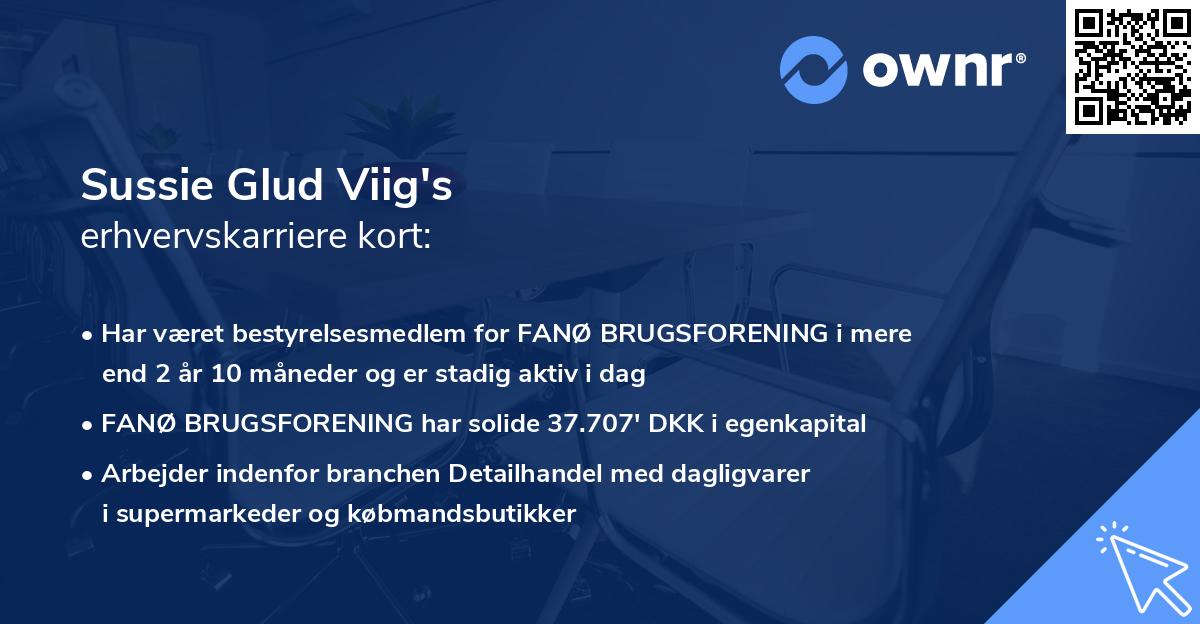 Sussie Glud Viig's erhvervskarriere kort