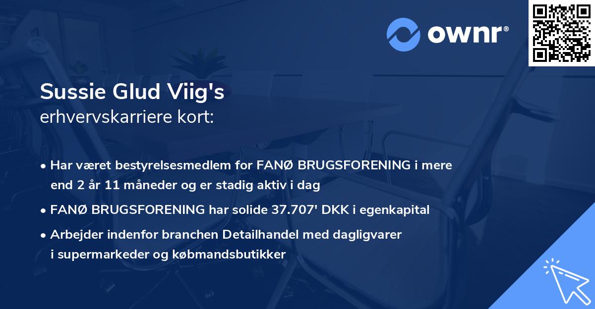Sussie Glud Viig's erhvervskarriere kort