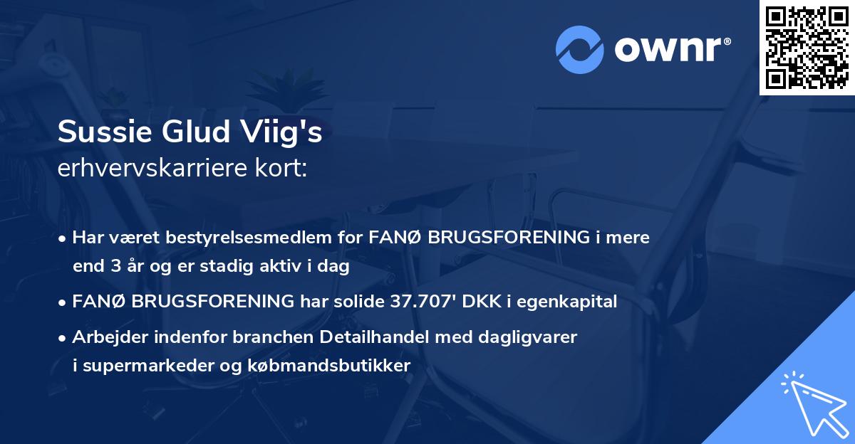 Sussie Glud Viig's erhvervskarriere kort