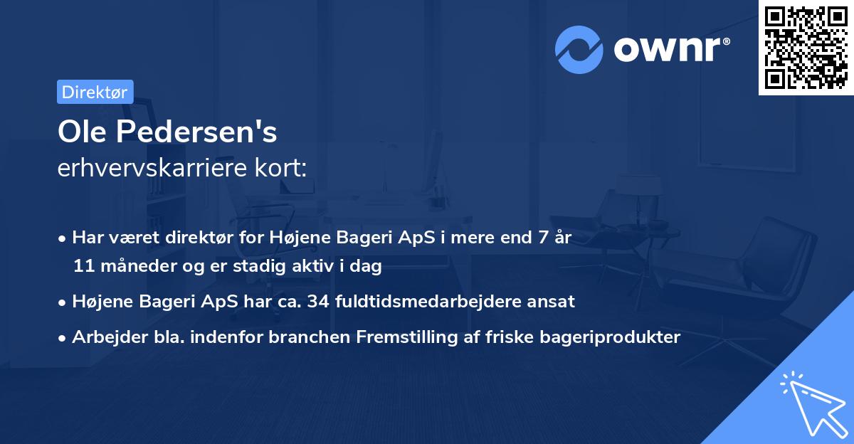 Ole Pedersen's erhvervskarriere kort