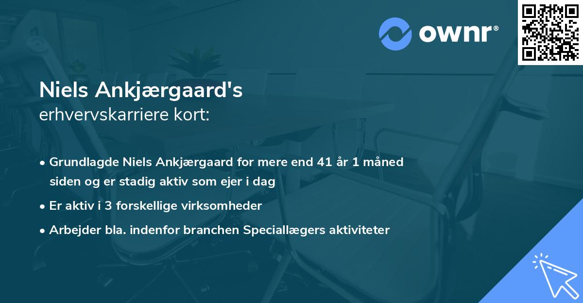 Niels Ankjærgaard's erhvervskarriere kort