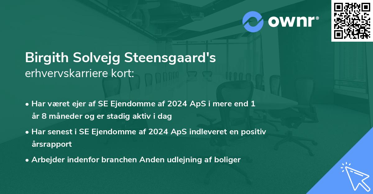 Birgith Solvejg Steensgaard's erhvervskarriere kort
