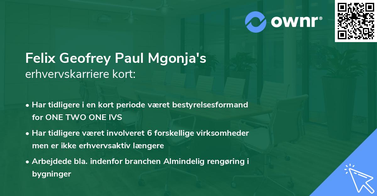 Felix Geofrey Paul Mgonja's erhvervskarriere kort