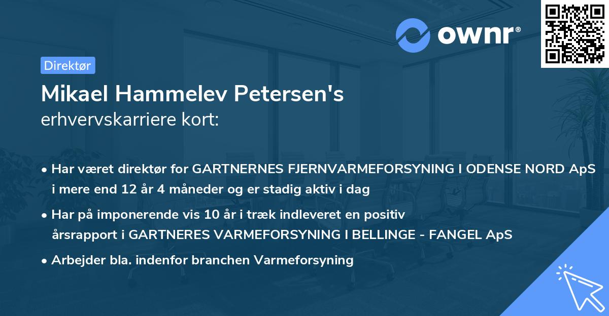 Mikael Hammelev Petersen's erhvervskarriere kort