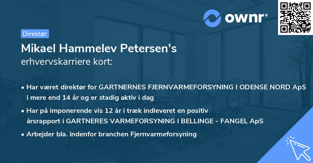 Mikael Hammelev Petersen's erhvervskarriere kort
