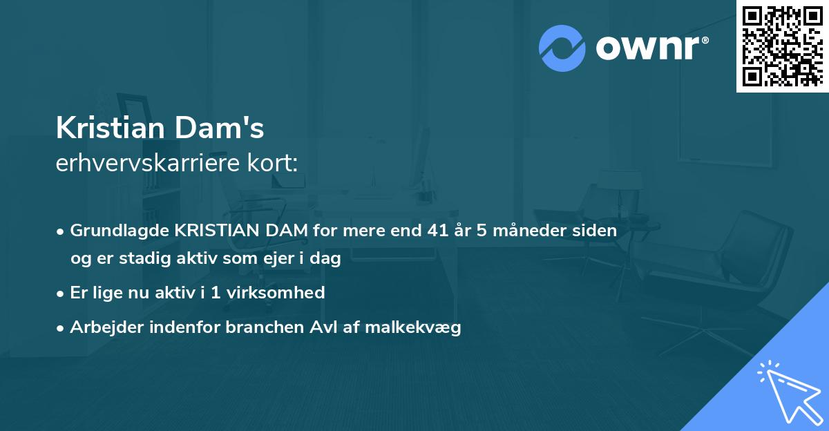 Kristian Dam's erhvervskarriere kort