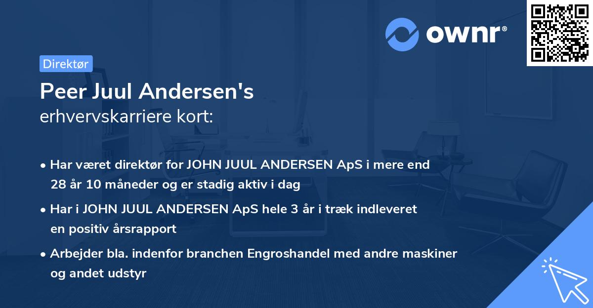 Peer Juul Andersen's erhvervskarriere kort