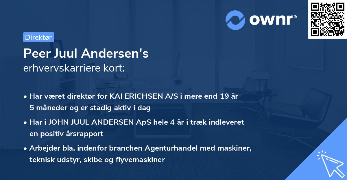 Peer Juul Andersen's erhvervskarriere kort