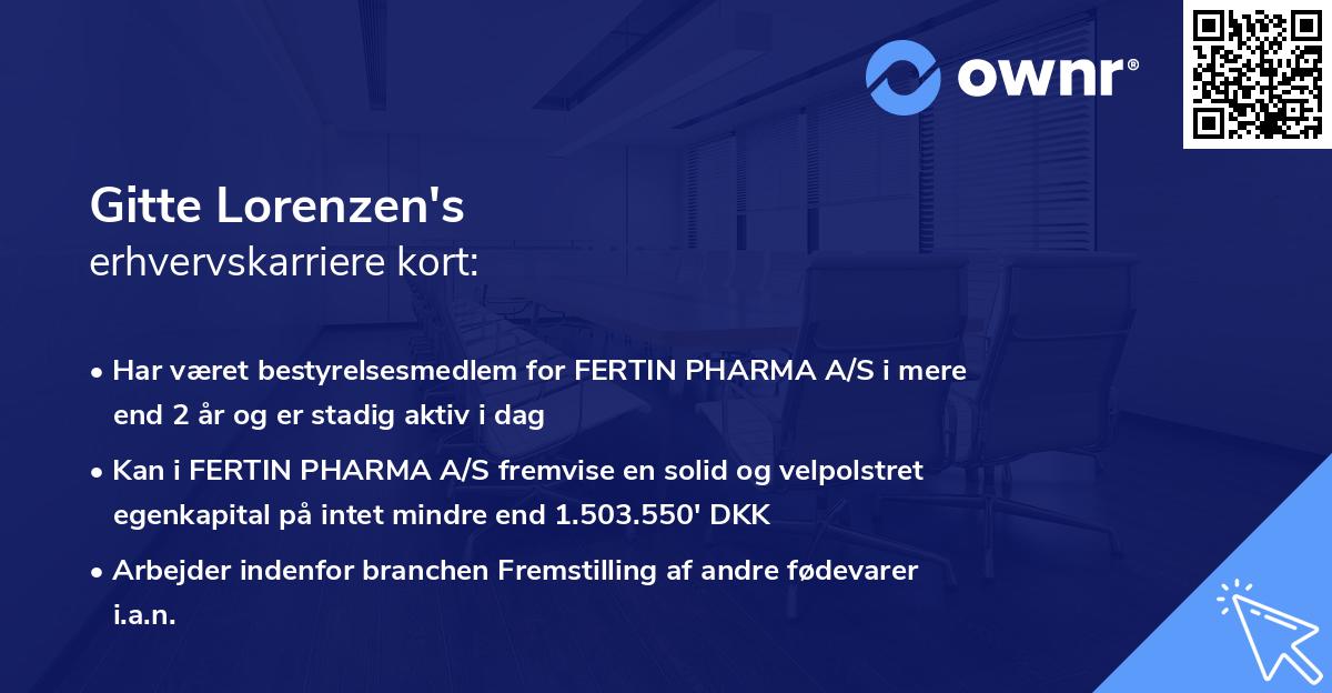 Gitte Lorenzen's erhvervskarriere kort