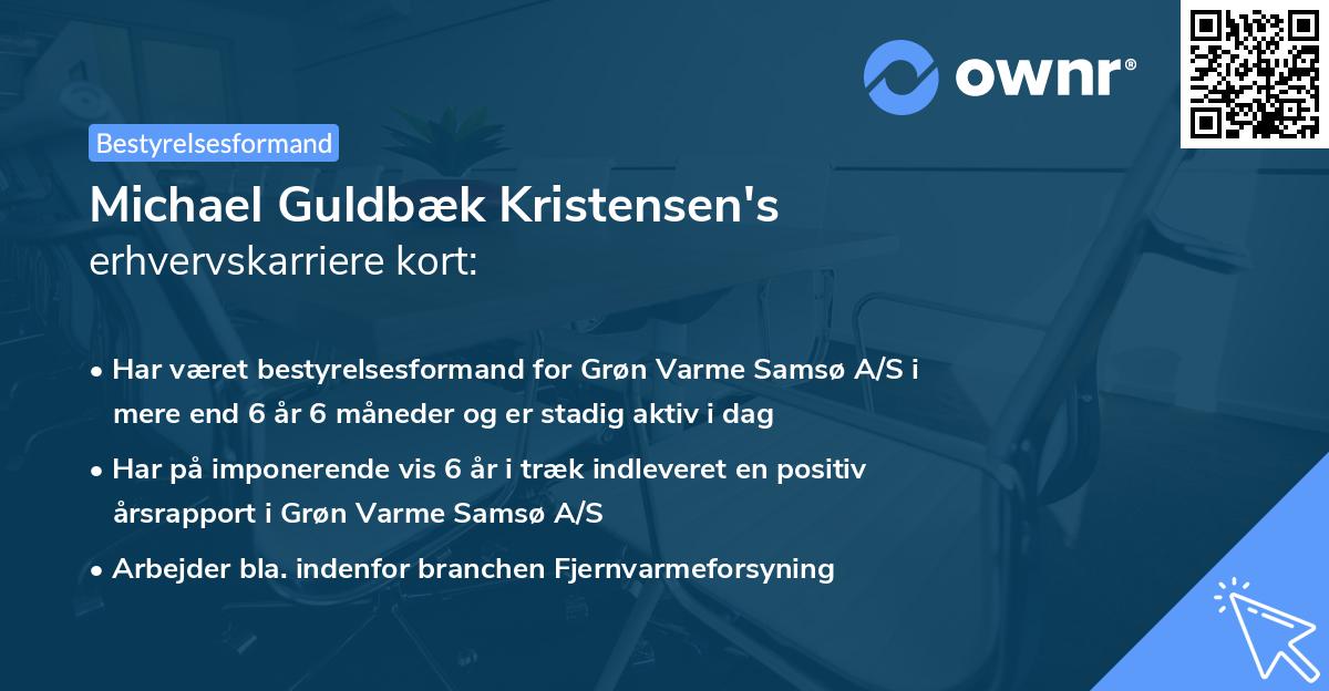 Michael Guldbæk Kristensen's erhvervskarriere kort