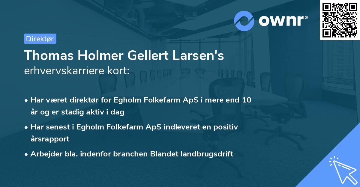 Thomas Holmer Gellert Larsen's erhvervskarriere kort