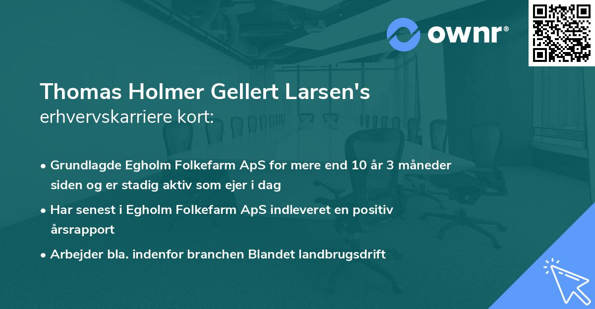 Thomas Holmer Gellert Larsen's erhvervskarriere kort