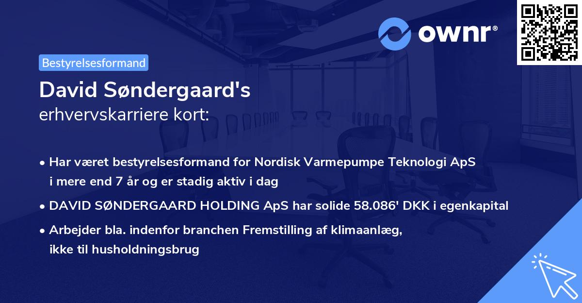 David Søndergaard's erhvervskarriere kort