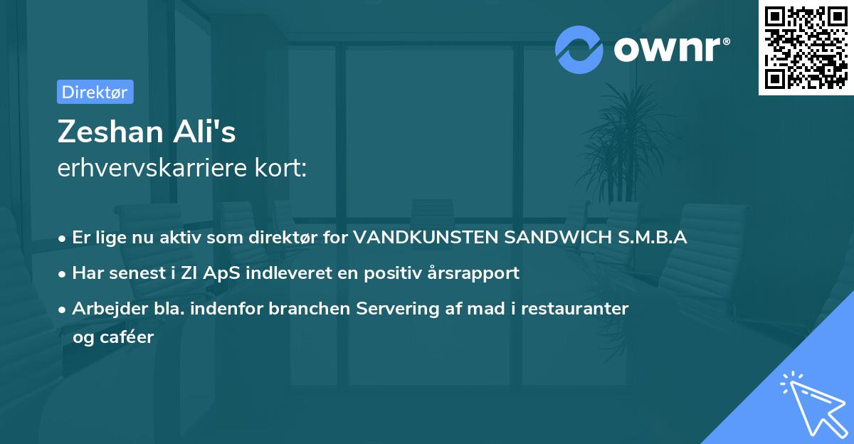 Zeshan Ali's erhvervskarriere kort