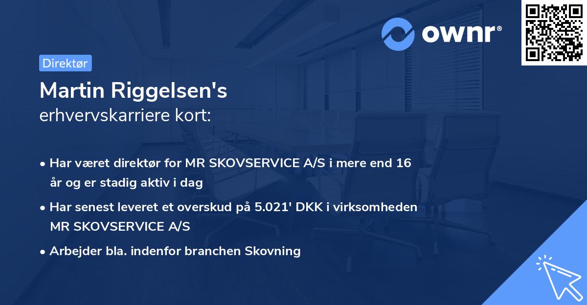 Martin Riggelsen's erhvervskarriere kort