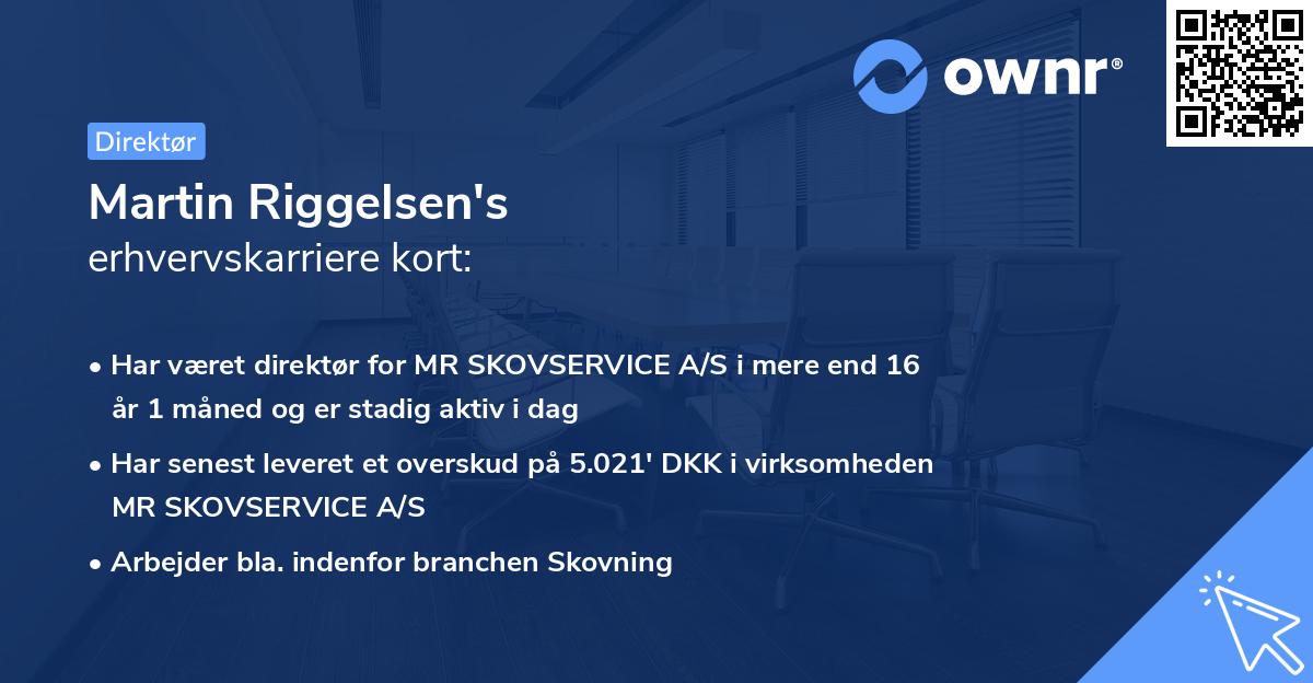 Martin Riggelsen's erhvervskarriere kort