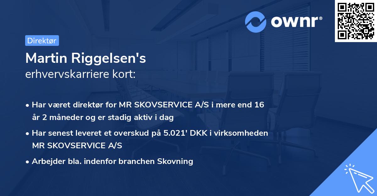 Martin Riggelsen's erhvervskarriere kort